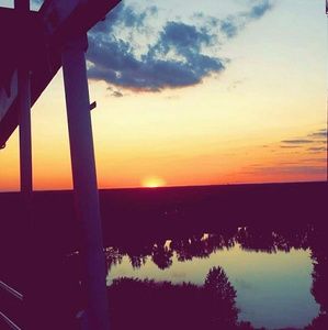 Meet your Posher, Alina