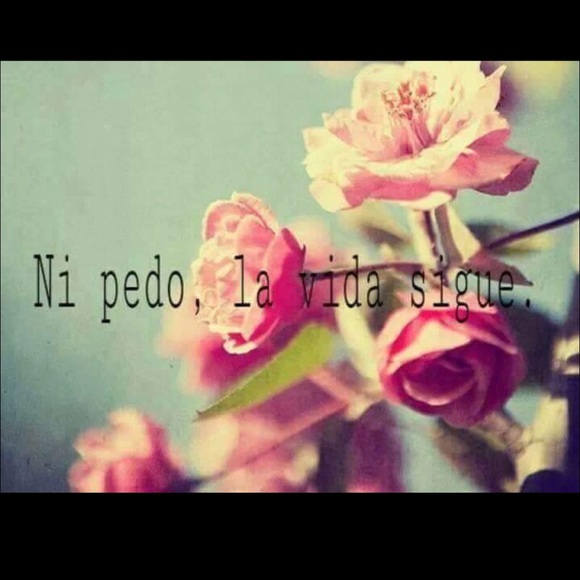 Meet your Posher, Reyna