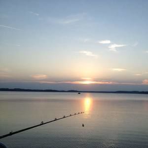 Meet your Posher, Holli