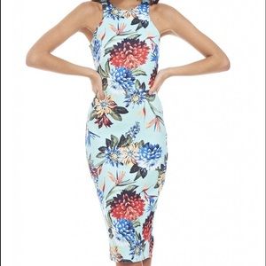 HP 🎉 Floral Bodycon Dress 🌺
