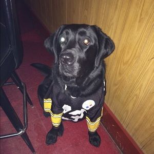 Meet your Posher, Jamie