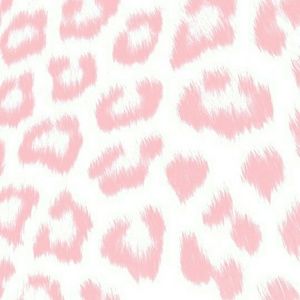 Meet your Posher, Kari