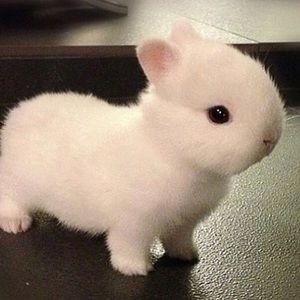 Meet your Posher, Sohee