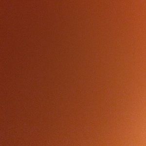 Meet your Posher, Daniela