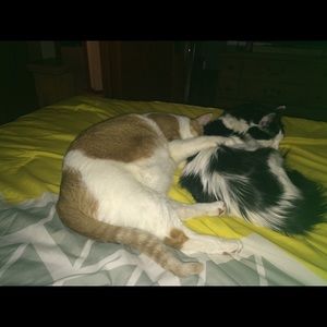 Meet your Posher, Amber