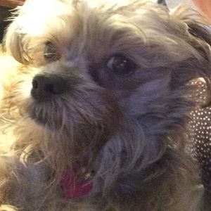 Meet your Posher, Terri