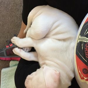 Meet your Posher, Frances