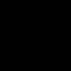 Meet your Posher, Ricky