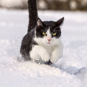 Meet your Posher, Faith