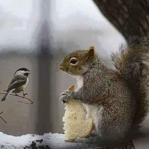 Meet your Posher, Sue