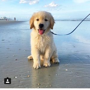 Meet your Posher, Candice