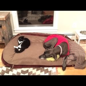 Meet your Posher, Pam