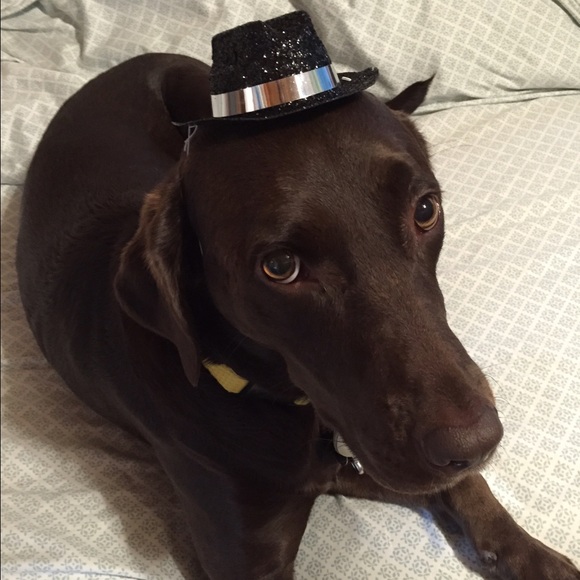 Meet your Posher, Paige - Picture 2 of 2