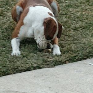 Meet your Posher, Edward