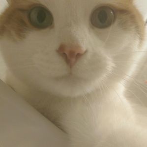 Meet your Posher, Casey