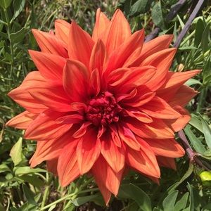 Meet your Posher, Jayme