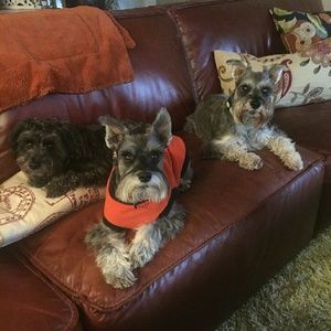 Meet your Posher, Dana