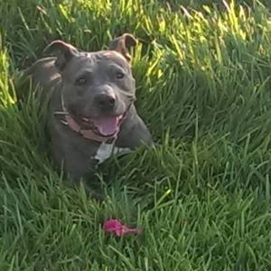 Meet your Posher, Nicholas