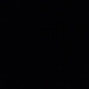 Meet your Posher, Randy