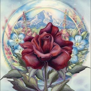 Meet your Posher, Fran