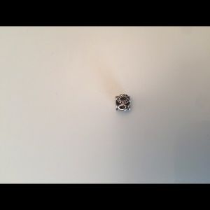 Pandora Charm