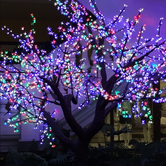 Meet your Posher, Shelly - Picture 1 of 1