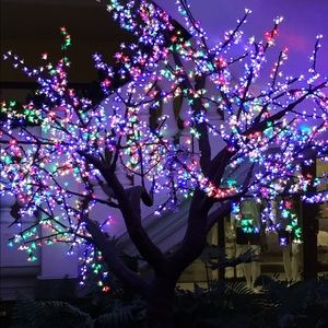 Meet your Posher, Shelly