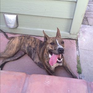 Meet your Posher, Stacey