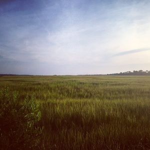 Meet your Posher, Meredith