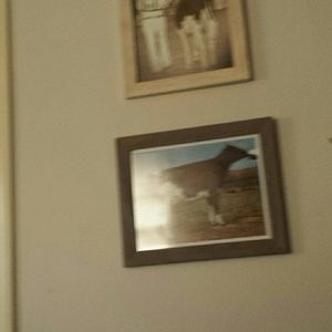 Meet your Posher, Kelsay