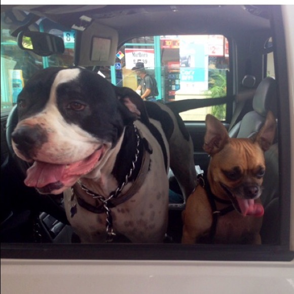 Hope - Picture 3 of 4