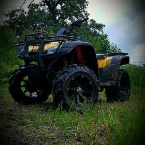 Meet your Posher, Harley