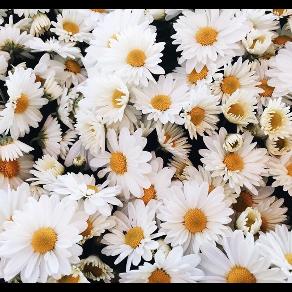 Meet your Posher, Christy