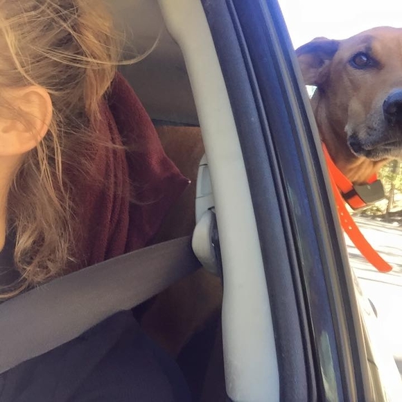 Meet your Posher, Schannon - Picture 1 of 1