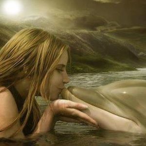 Meet your Posher, Detre