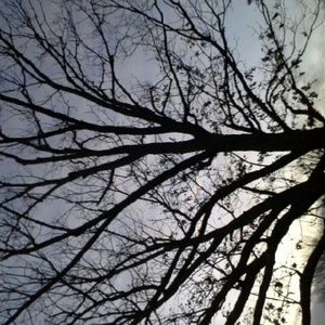 Meet your Posher, Chad