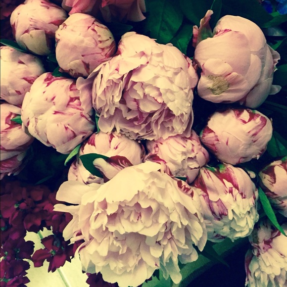 Meet your Posher, Christy