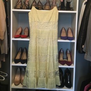 Gorgeous lace detailed Ann Taylor dress