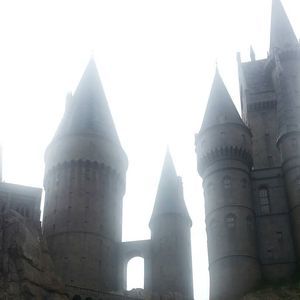 Meet your Posher, Beverly