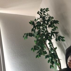 Meet your Posher, Roxanne