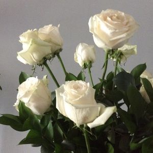 Meet your Posher, Rocio