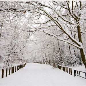 Meet your Posher, Tabitha