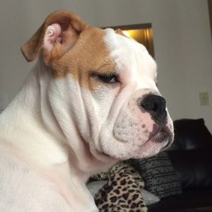 Meet your Posher, Hanna