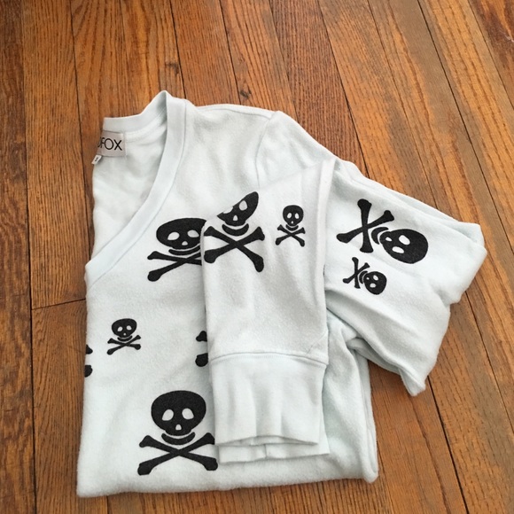 Wildfox v-neck sweater