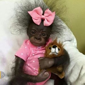 Meet your Posher, Terri