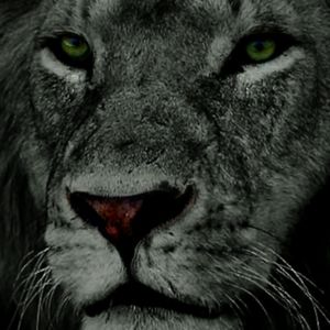 Meet your Posher, Leonard