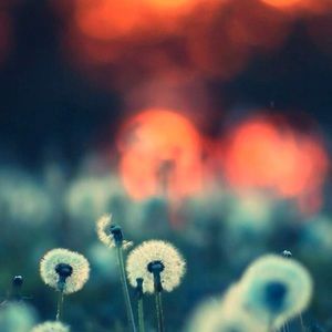 Meet your Posher, Yessi