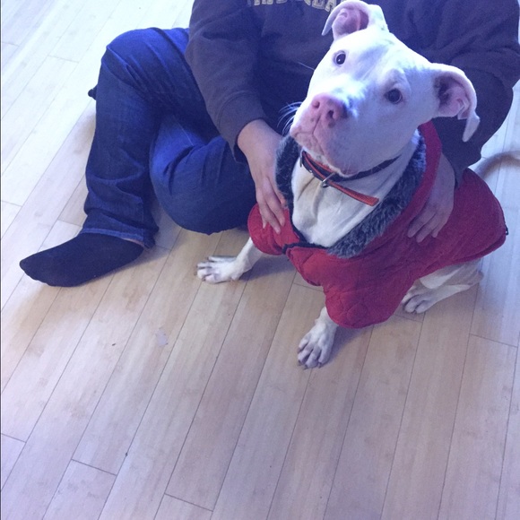 Meet your Posher, Veronica