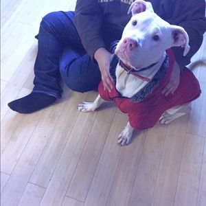 Meet your Posher, Veronica