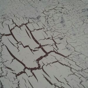 Meet your Posher, Sherry